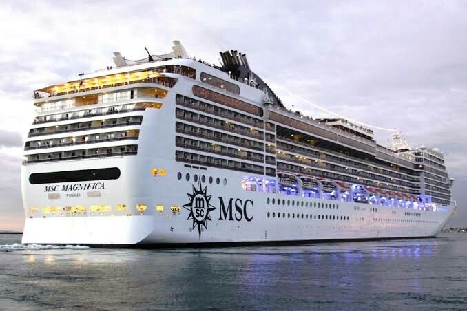 MSC Cleaner in Japan