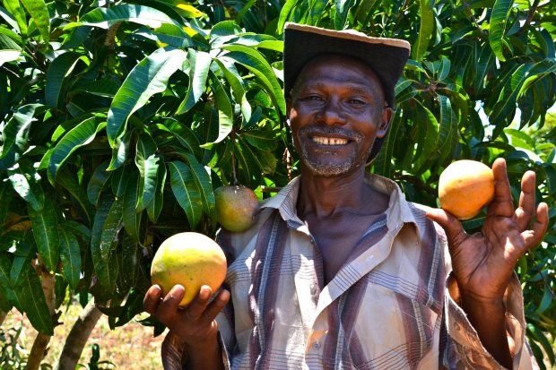 Farm Manager Jobs in South Africa