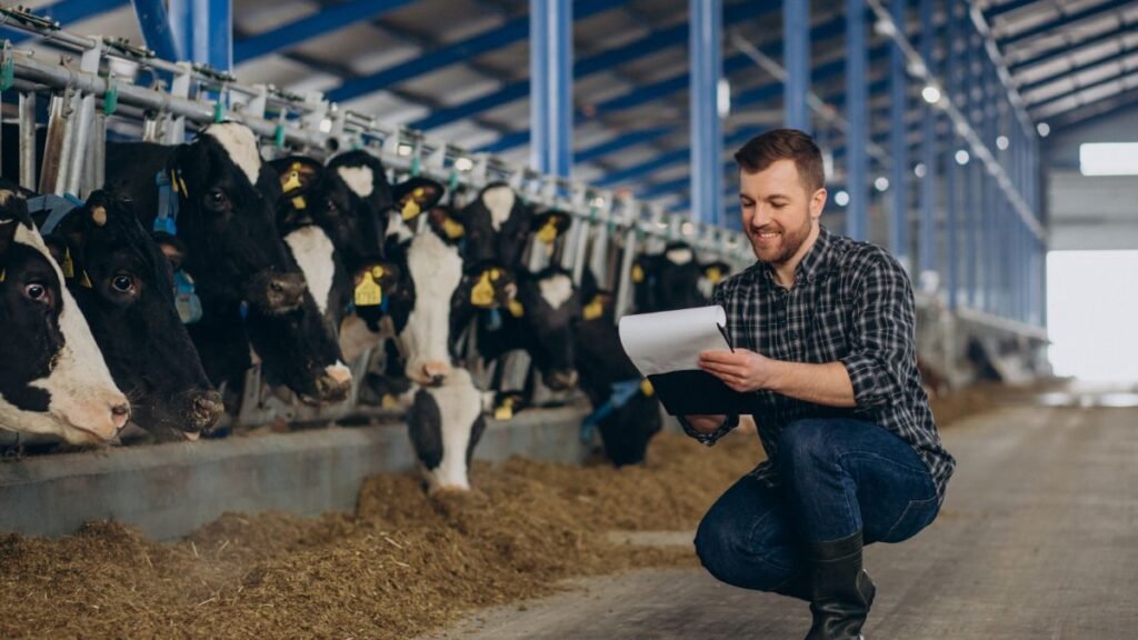 Dairy Farming Careers in Canada
