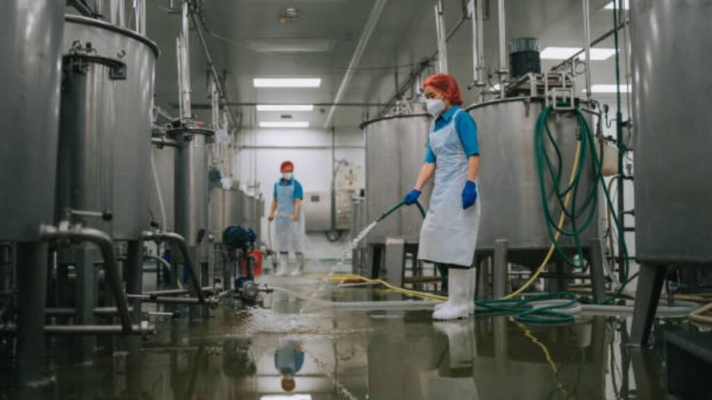 Factory and Industrial Cleaner Jobs in New Zealand
