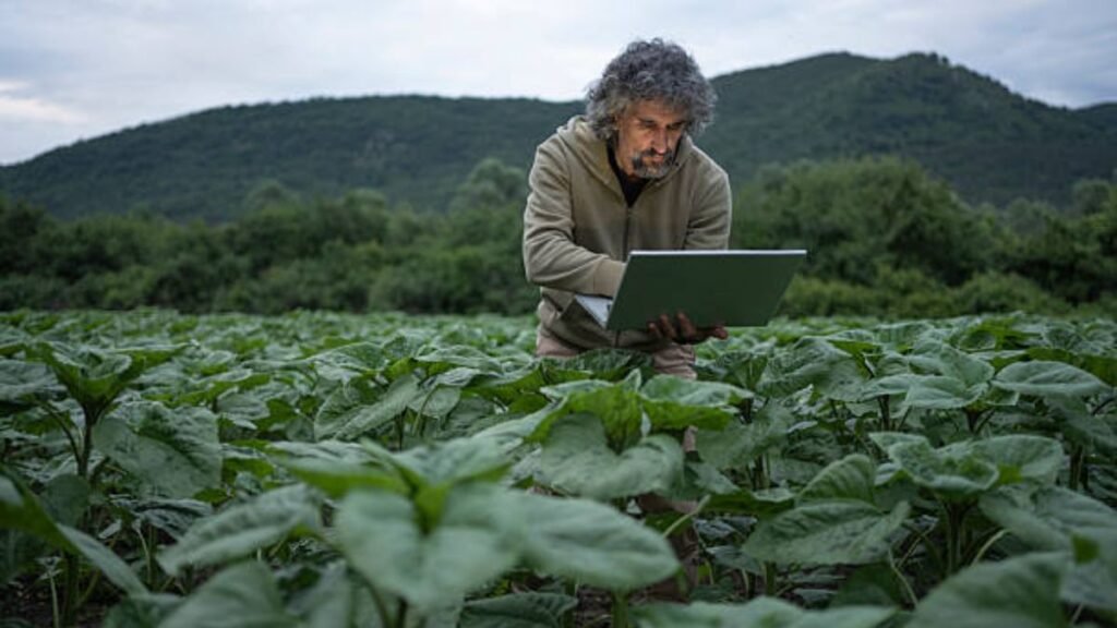 Farm Worker Jobs in New Zealand