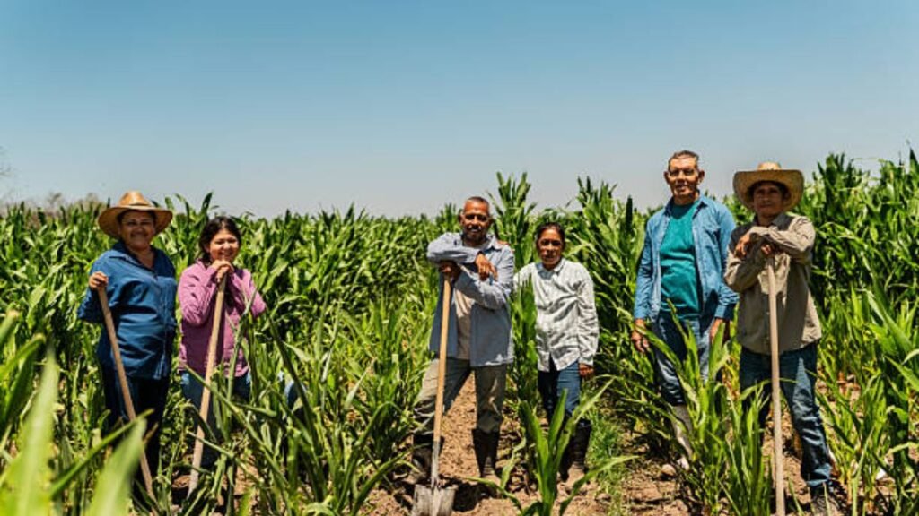 Farm Workers Jobs in France
