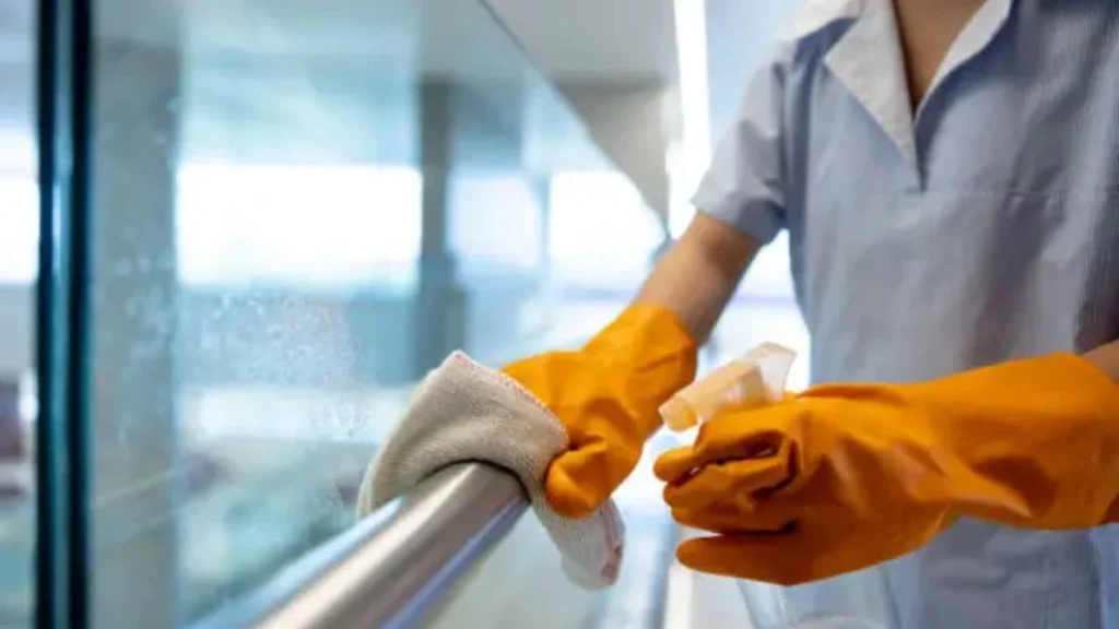 Cleaner Job in New Zealand