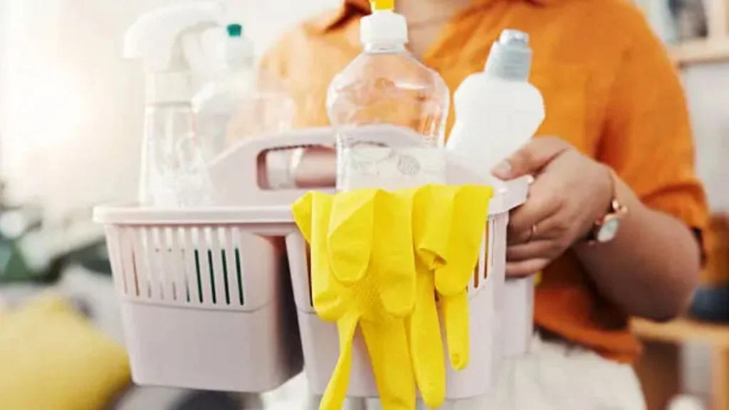 Hotel Cleaner Job South Africa